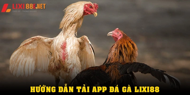 Hướng dẫn tải app đá gà Lixi88 đơn giản trên điện thoại