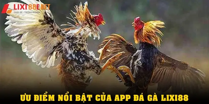 Ưu điểm nổi bật của app đá gà Lixi88
